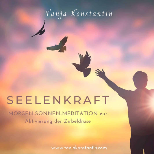 Seelenkraft